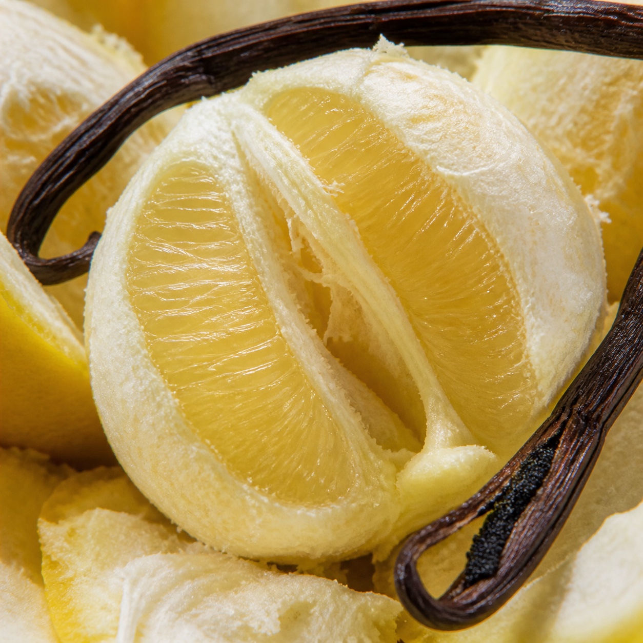 Lemon and vanilla flavor ingredients